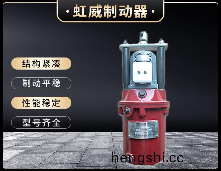 YT1係(xi)列電力(li)液壓(ya)推動器