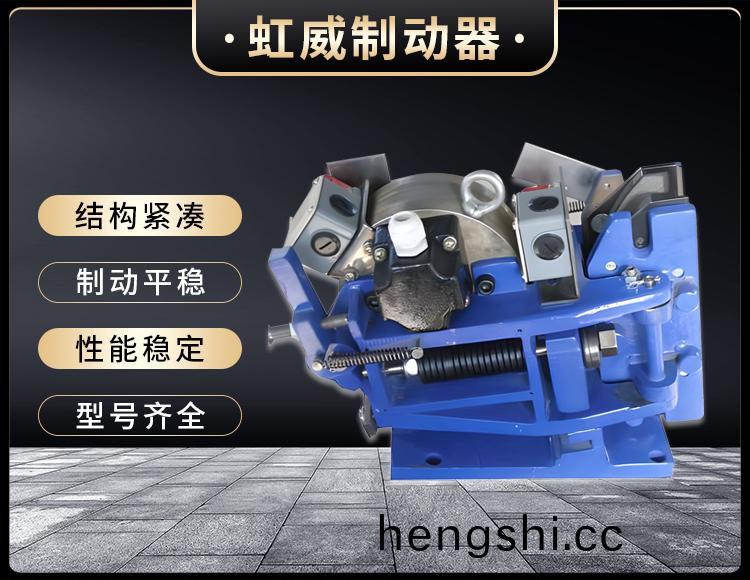 SE係列電磁(ci)安(an)全(quan)製(zhi)動器(qi)